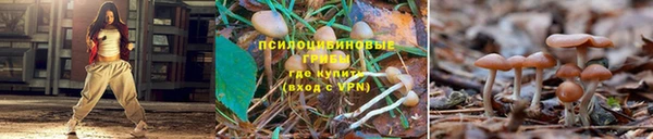 a pvp Козельск